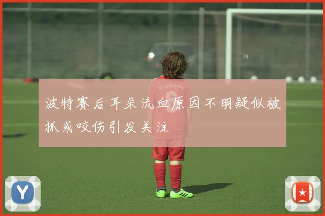 波特赛后耳朵流血原因不明疑似被抓或咬伤引发关注