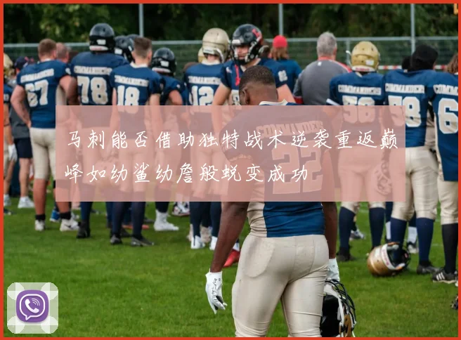 马刺能否借助独特战术逆袭重返巅峰如幼鲨幼詹般蜕变成功