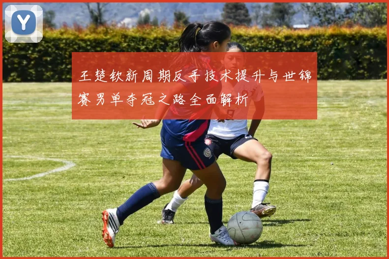 王楚钦新周期反手技术提升与世锦赛男单夺冠之路全面解析