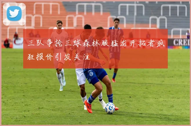 三队争抢三球森林狼猛龙开拓者疯狂报价引发关注