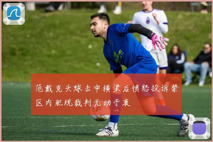 范戴克头球击中横梁后愤怒投诉禁区内犯规裁判无动于衷