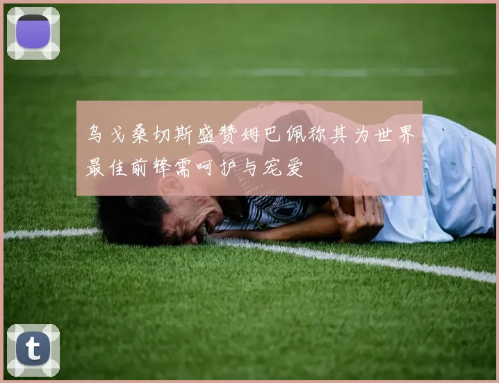 乌戈桑切斯盛赞姆巴佩称其为世界最佳前锋需呵护与宠爱